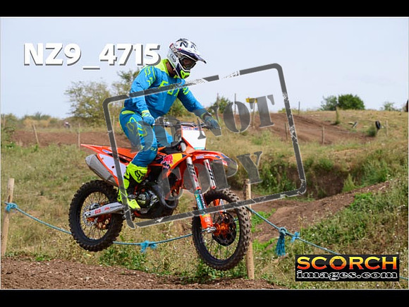 IntersGreenOrange-291