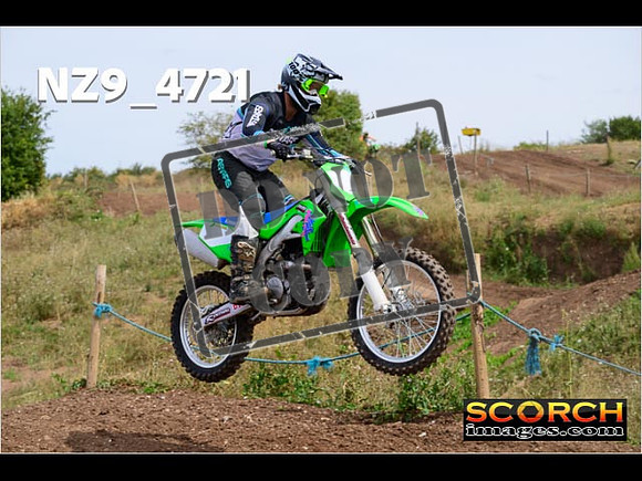 IntersGreenOrange-297