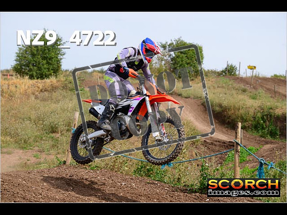 IntersGreenOrange-298