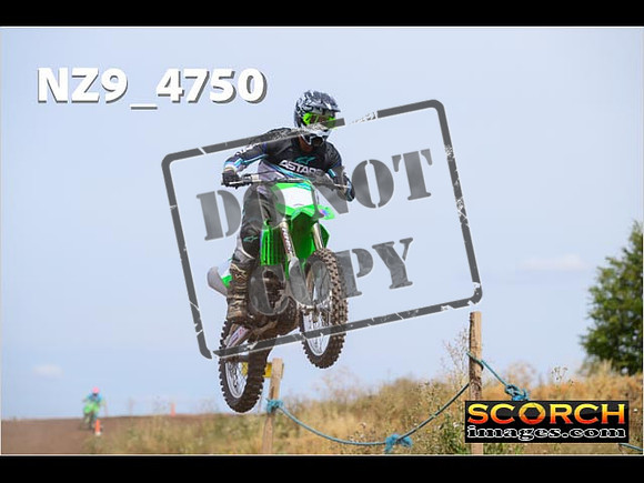 IntersGreenOrange-326