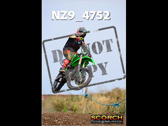 IntersGreenOrange-328