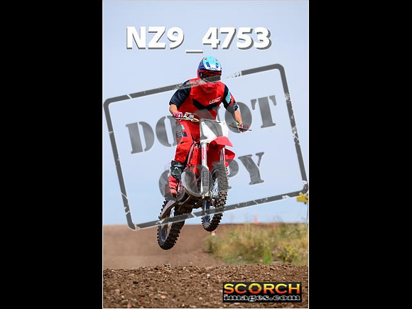 IntersGreenOrange-329