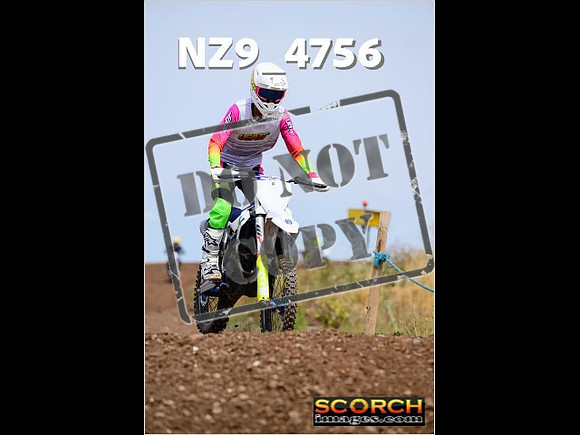 IntersGreenOrange-332