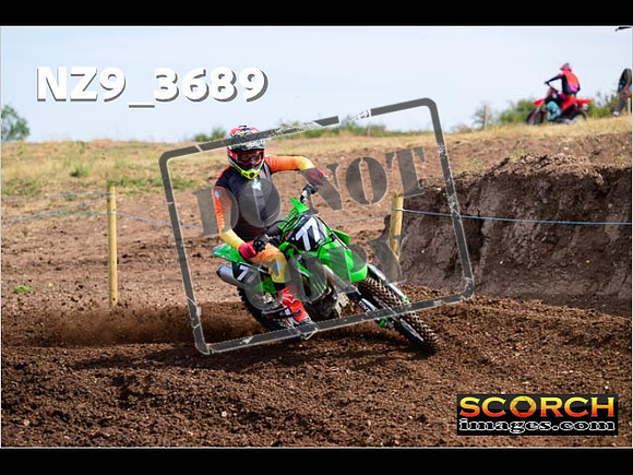 IntersGreenOrange-005