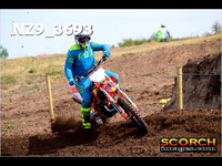 IntersGreenOrange-009