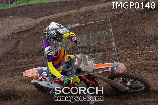 IMGP0148