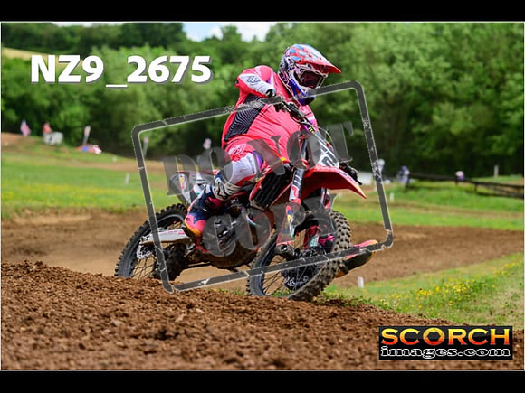 Novice-264