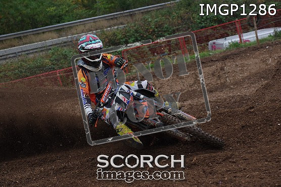 IMGP1286