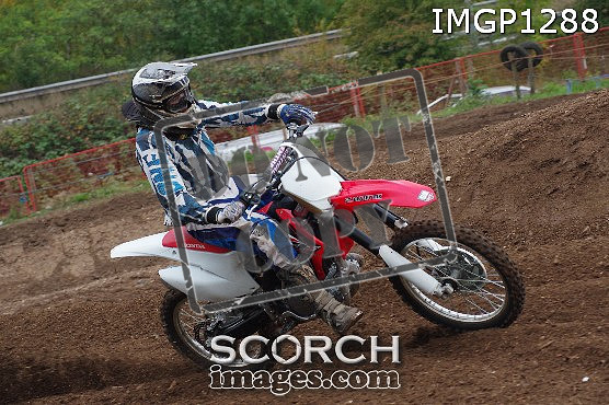 IMGP1288
