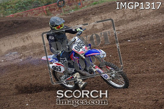 IMGP1317