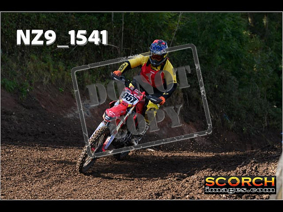 Experts-226