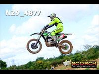 Experts-019