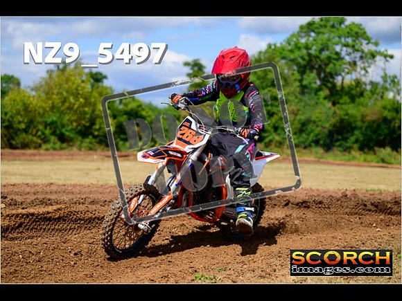 85'S-079