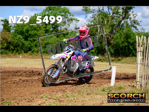 85'S-081