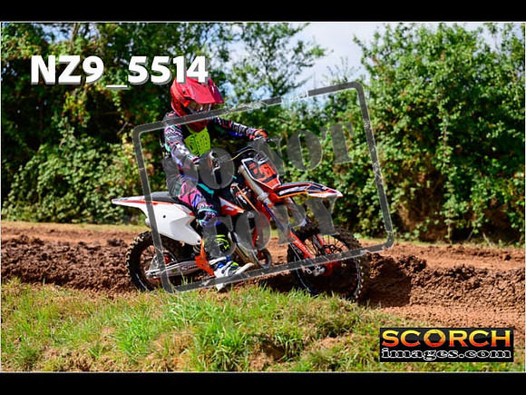 85'S-096