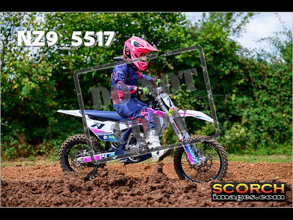 85'S-099