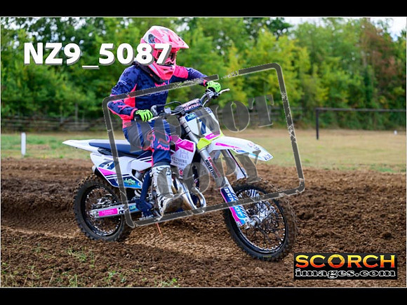 85'S-010