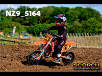 Auto65-017