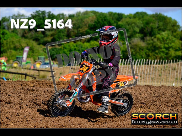 Auto65-017
