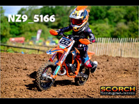Auto65-019