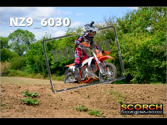 Auto65-201