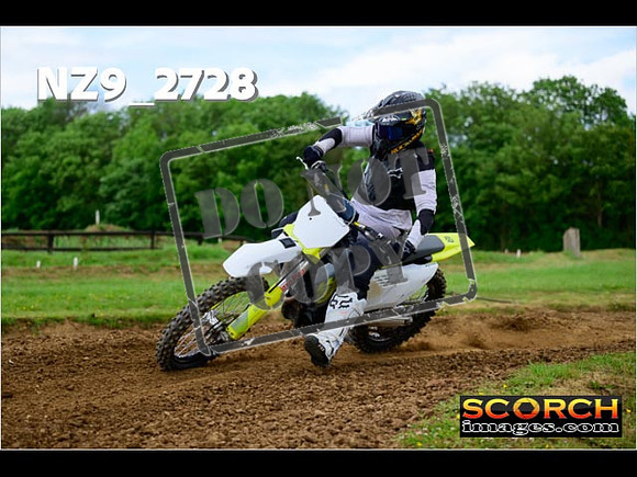 Novice-317