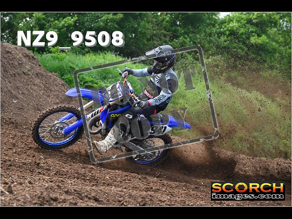 Experts-030