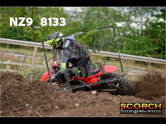 Experts-073