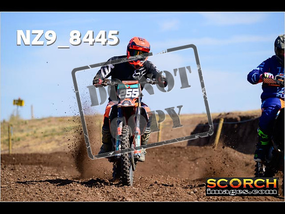 Wed12Aug-453