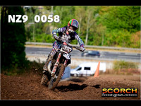 Experts-015