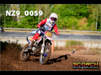 Experts-016
