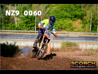 Experts-017