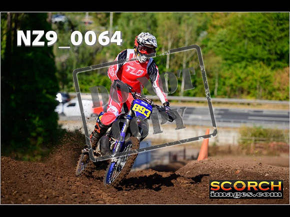 Experts-021