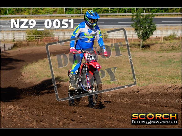 Experts-008