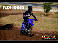 Experts-009