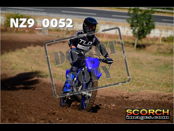 Experts-009