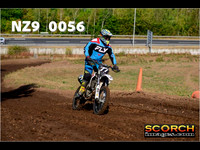 Experts-013