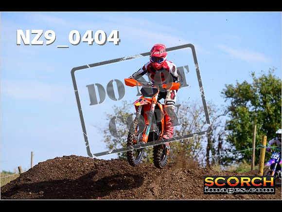 IntersGreenOrange-009