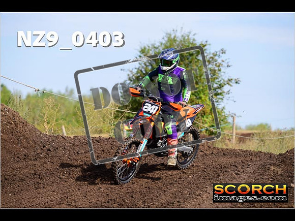 IntersGreenOrange-008