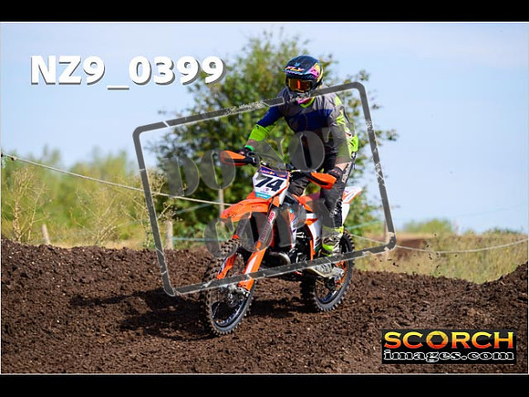 IntersGreenOrange-004