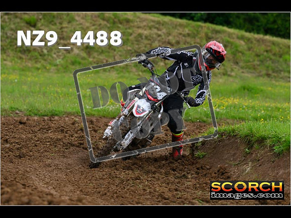 Experts-205