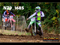 Experts-018