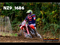 Experts-019
