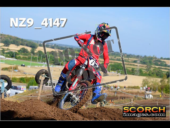 Experts-014
