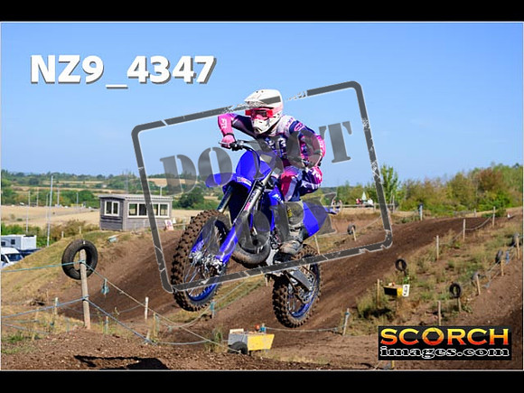 IntersBlue-019
