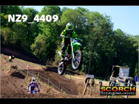 IntersGreen-004