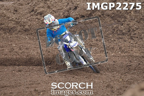 IMGP2275