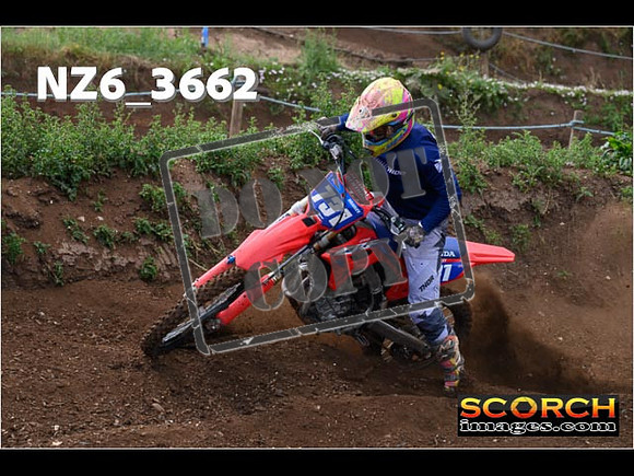 Experts-088