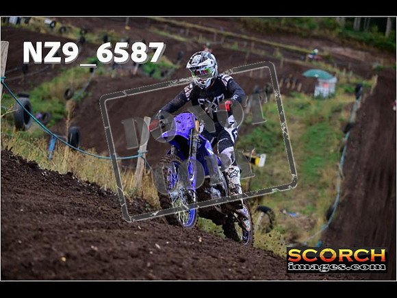 Experts-119
