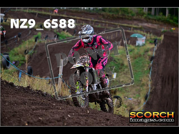 Experts-120